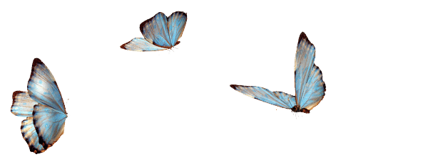 blaue Schmetterlinge flattern